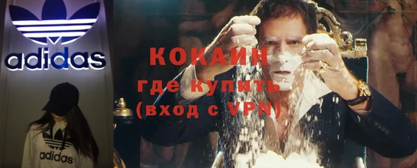 трава Арсеньев