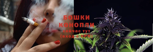 трава Арсеньев