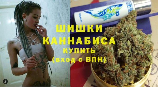 трава Арсеньев