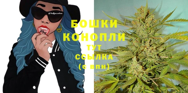 крисы Армянск