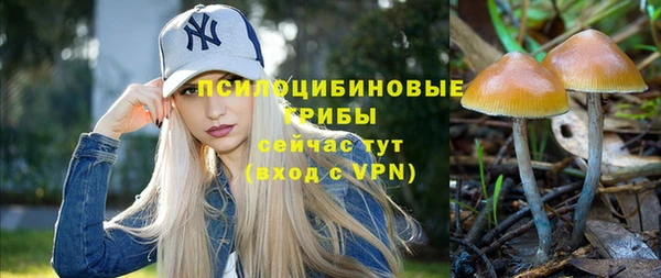 трава Арсеньев
