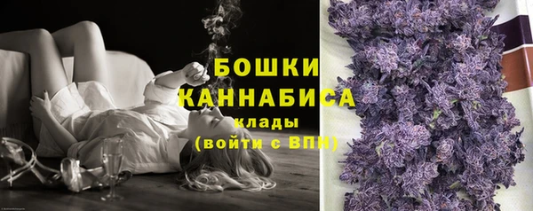 трава Арсеньев