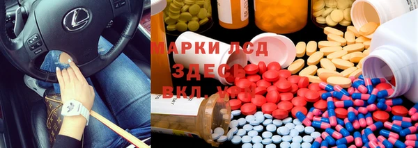 Альфа ПВП Аркадак