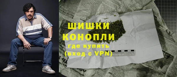 Альфа ПВП Аркадак