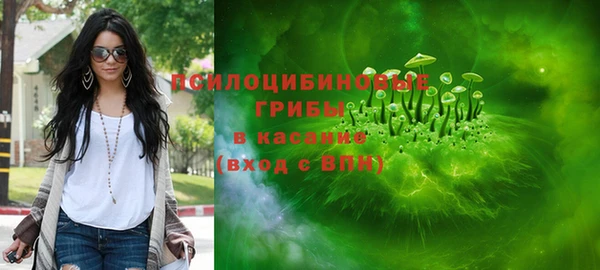 трава Арсеньев
