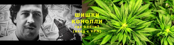 Альфа ПВП Аркадак