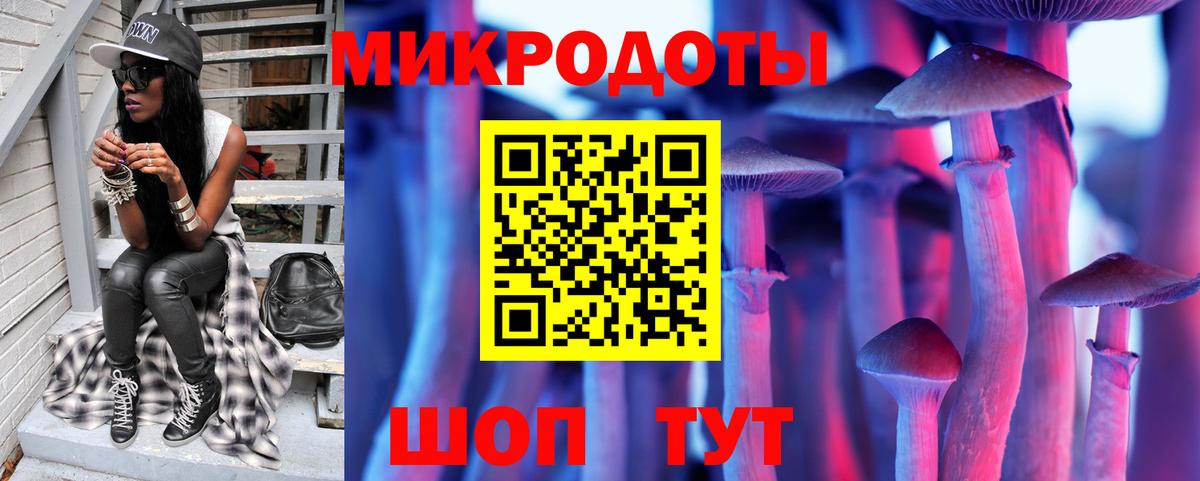 Белово  Псилоцибиновые грибы Psilocybe  Вход с VPN 